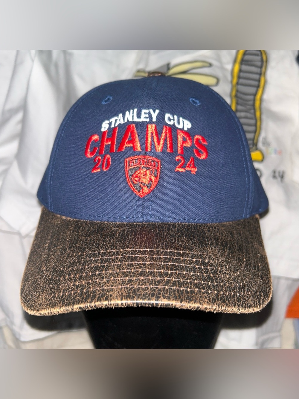 Rare Florida Panthers NHL 2024 Stanley Cup Champions Hat